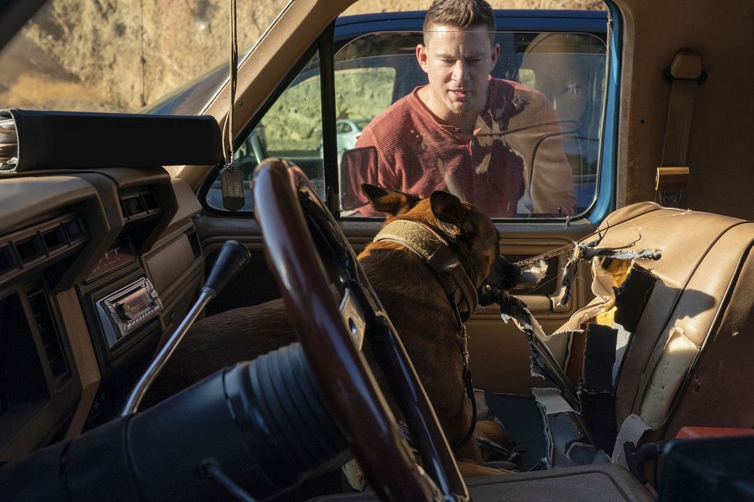 Dog : Photo Channing Tatum
