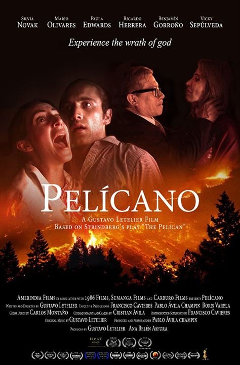 Pelícano : Affiche