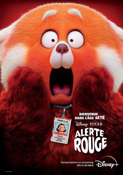 Alerte rouge : Affiche