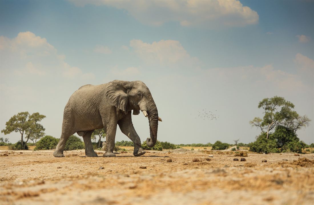 Survivre au paradis : Une histoire de famille : Photo