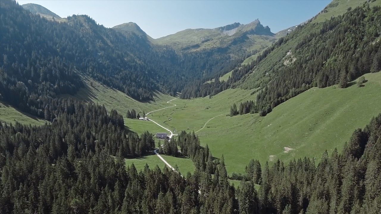 Le Pari d’Esther : Photo