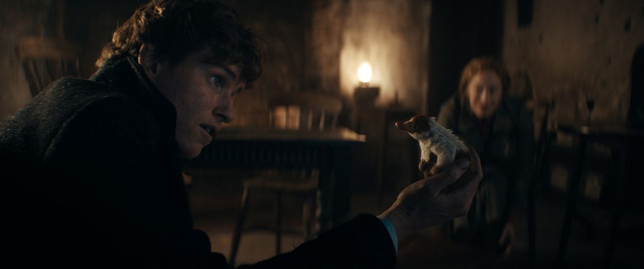 Les Animaux Fantastiques : les Secrets de Dumbledore : Photo Eddie Redmayne