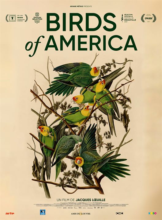 Birds of America : Affiche