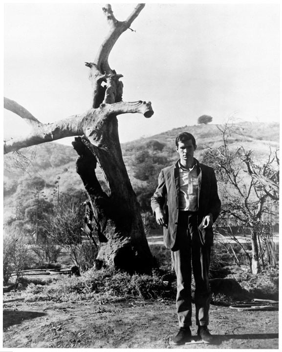 Psychose : Photo Anthony Perkins