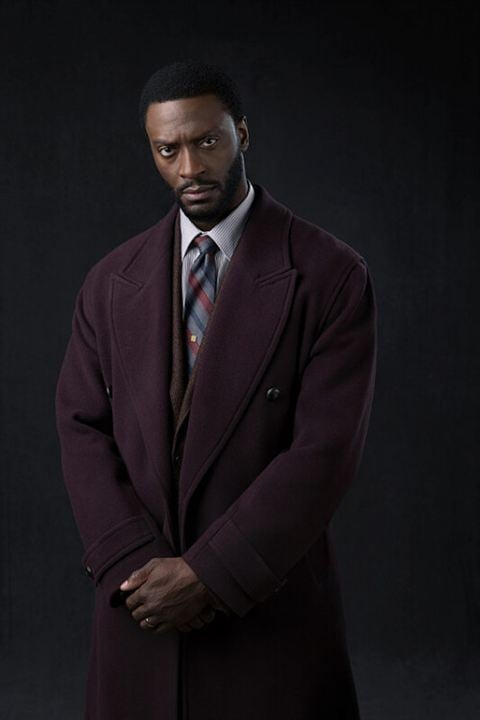 Photo Aldis Hodge