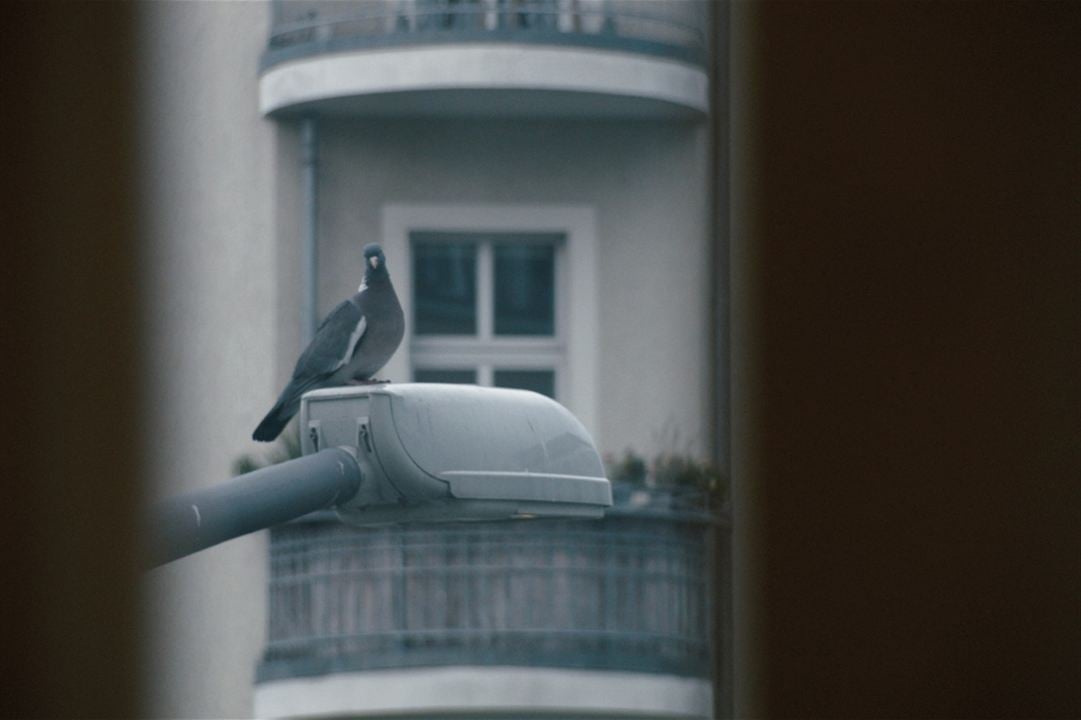 La République du silence : Photo