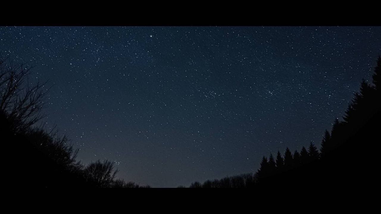 Connexion Sauvage : Photo