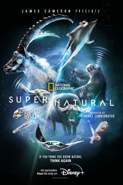 Les pouvoirs extraordinaires de la nature : Affiche