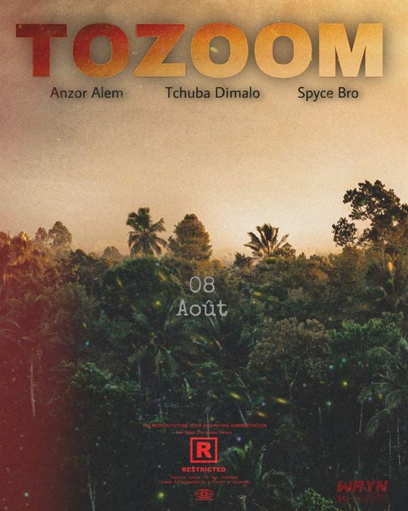 Tozoom : Affiche