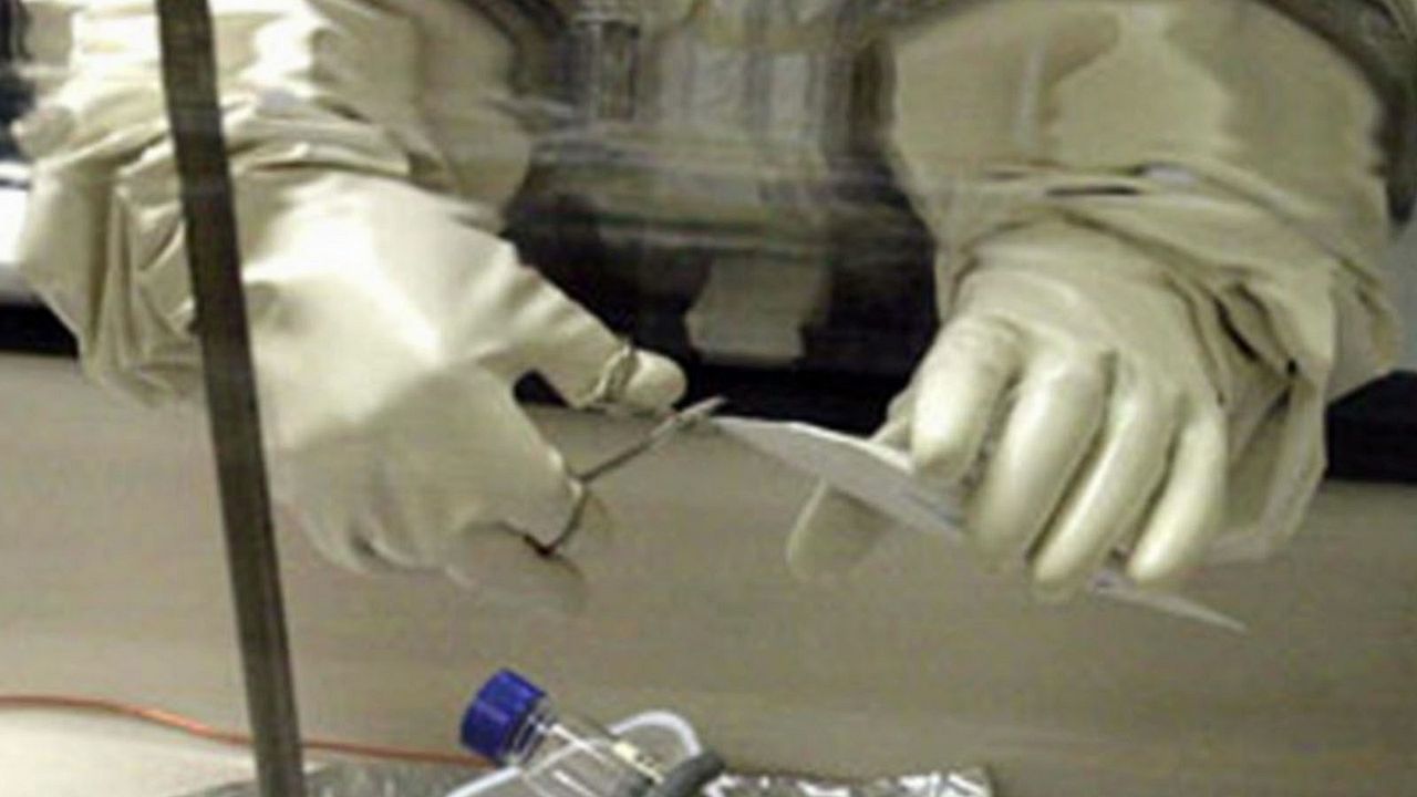 The Anthrax Attacks : Photo