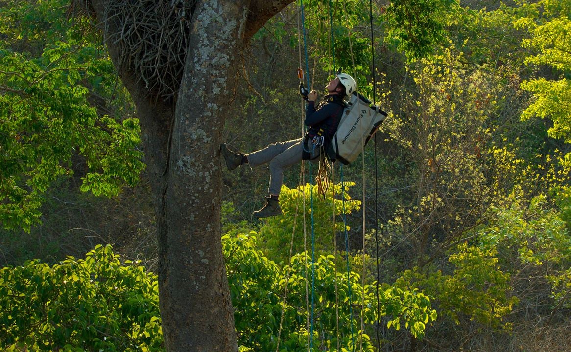 Les aventures extraordinaires de Bertie Gregory : Photo