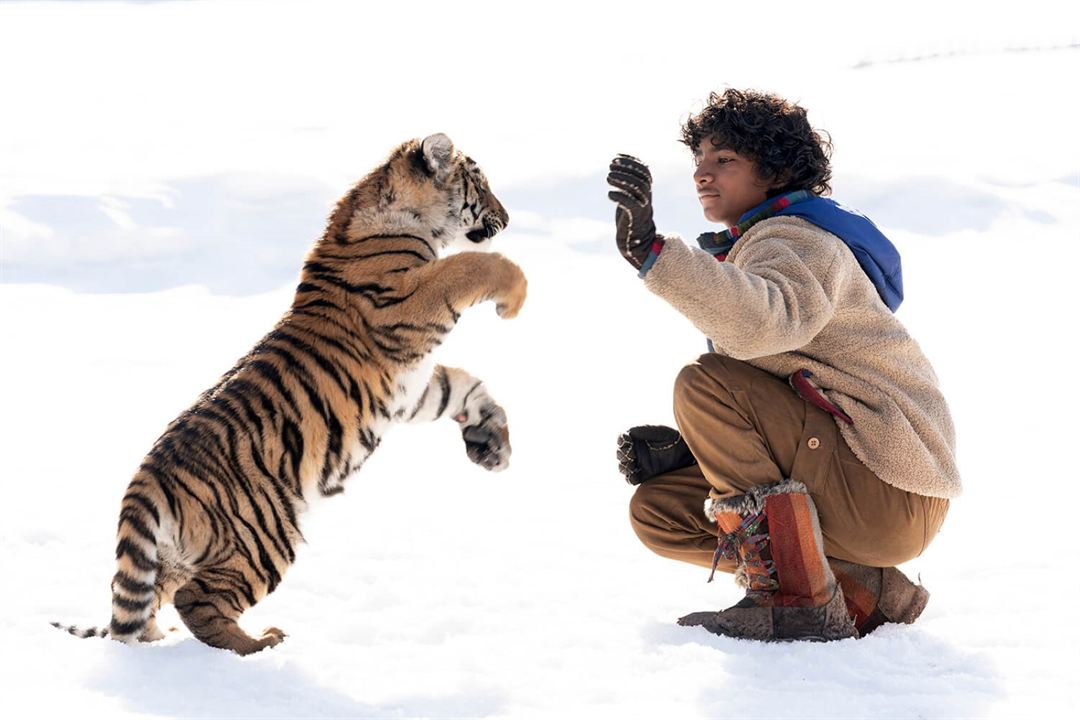 Le Nid du Tigre : Photo Sunny Pawar