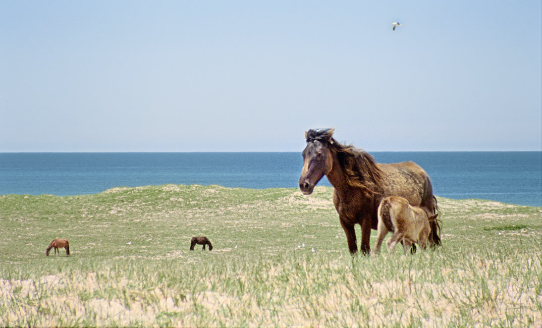 Geographies Of Solitude : Photo