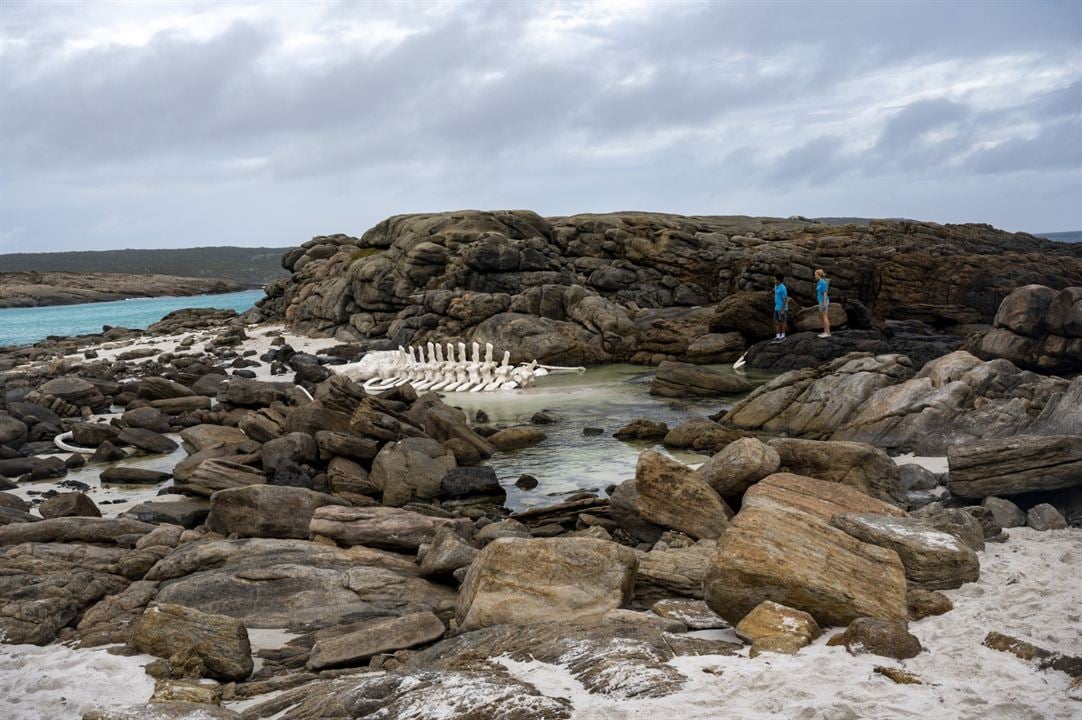 Blueback – une amitié sous-marine : Photo