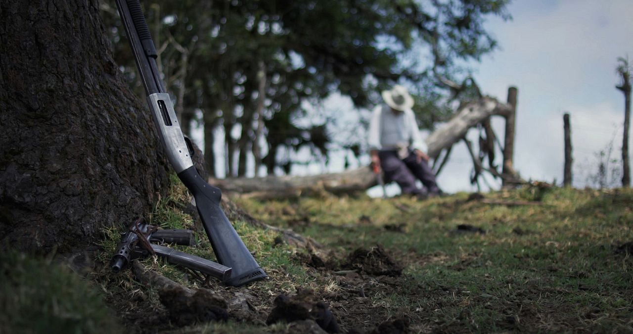 Ils m'ont volé mon pays, l'Équateur : Photo