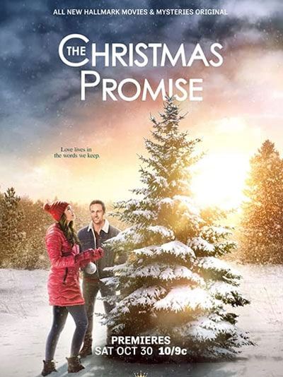 P.S. Joyeux Noël : Affiche