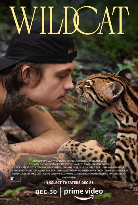 Wildcat : Affiche