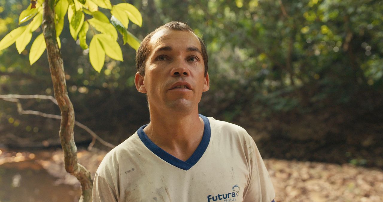 La forêt amazonienne : notre terre : Photo