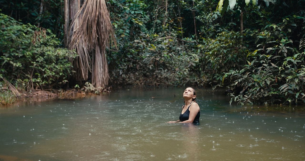 La forêt amazonienne : notre terre : Photo