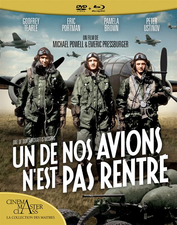 Un de nos avions n'est pas rentré : Affiche