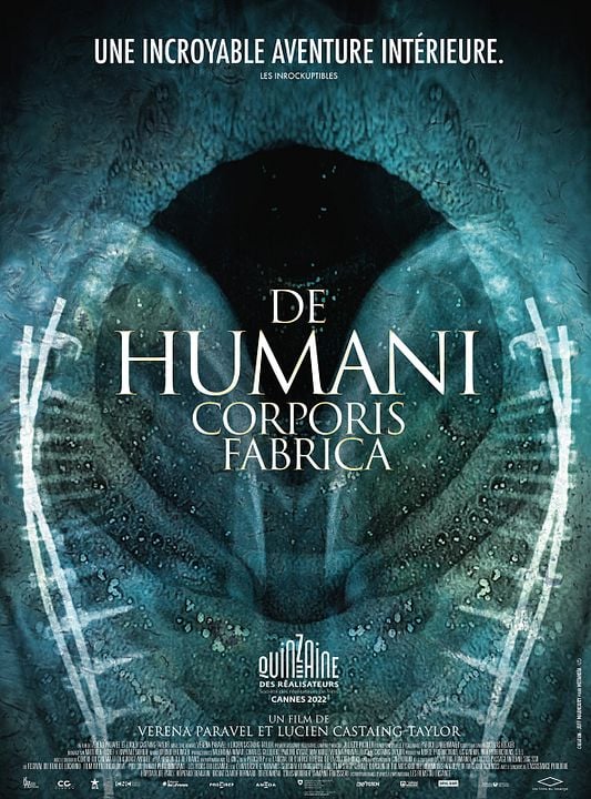 De Humani Corporis Fabrica : Affiche