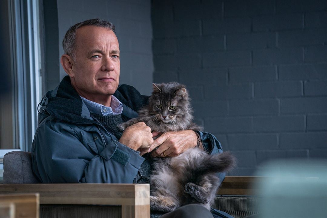 Le Pire voisin au monde : Photo Tom Hanks