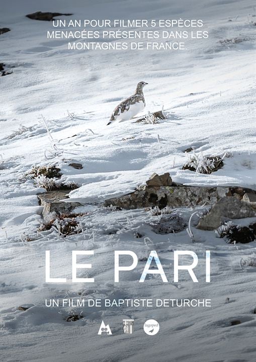 Le Pari : Affiche