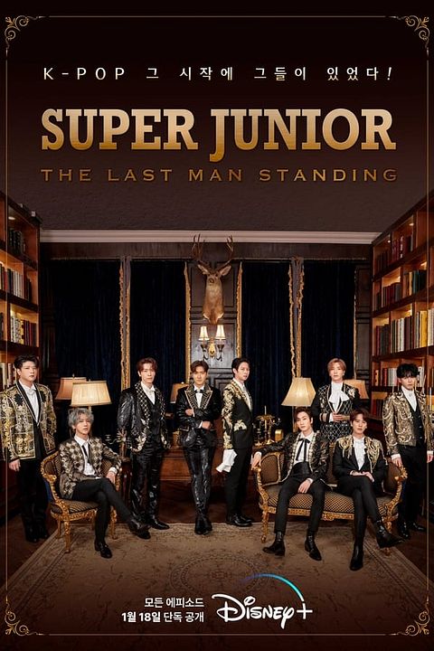 Super Junior : 15 ans de scène : Affiche