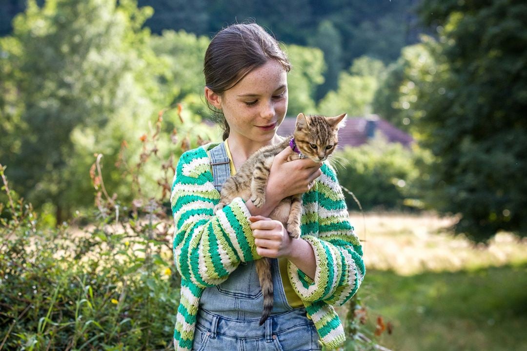 Mon chat et moi, la grande aventure de Rroû : Photo Capucine Sainson-Fabresse