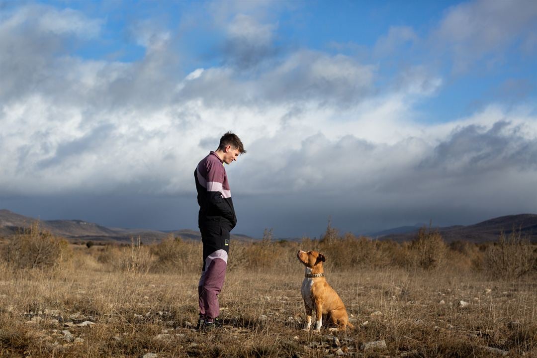 Chien de la casse : Photo Raphaël Quenard