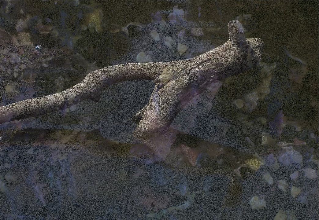 On This Shore, Here. : Photo