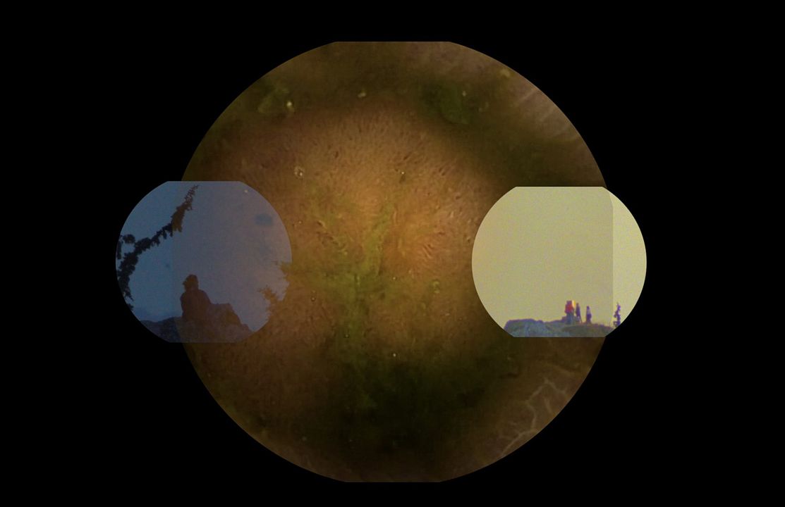 A Very Long Gif : Photo