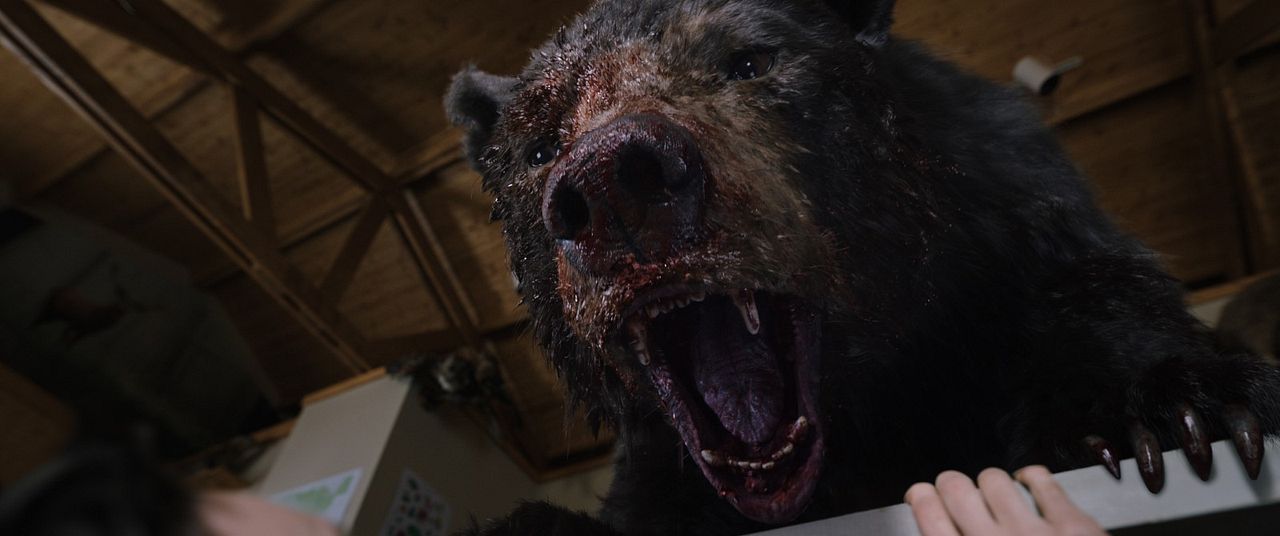 Crazy Bear : Photo