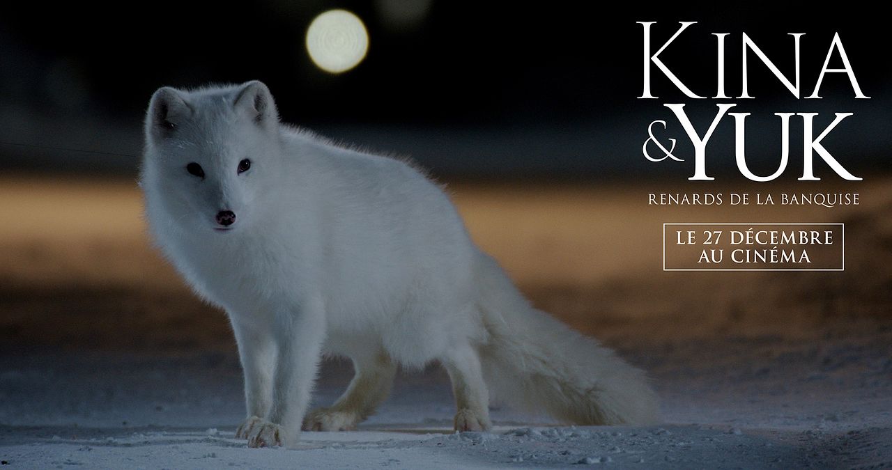 Kina & Yuk : renards de la banquise : Affiche