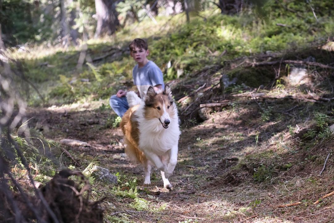 Lassie - Ein neues Abenteuer : Photo Nico Marischka