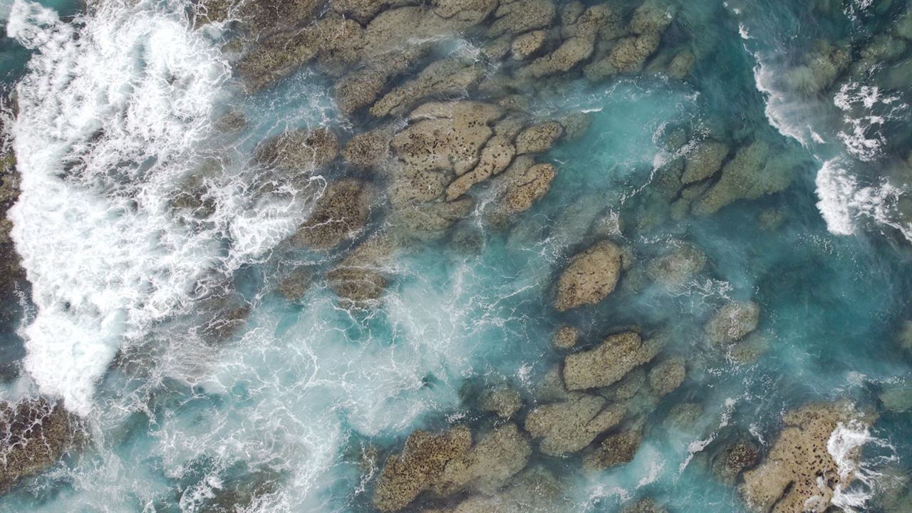 L'Océan vu du cœur : Photo