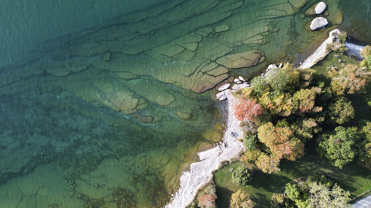 L'Océan vu du cœur : Photo