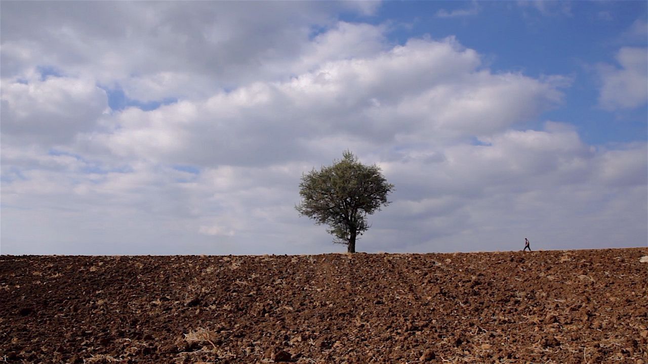 Retour à la terre : Photo