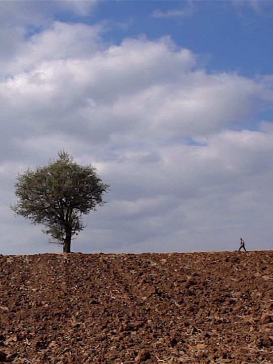 Retour à la terre : Affiche