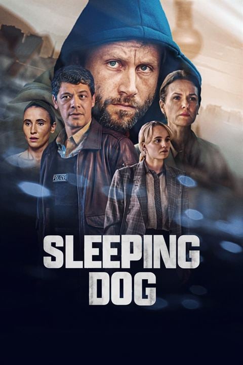 Sleeping Dog : Affiche