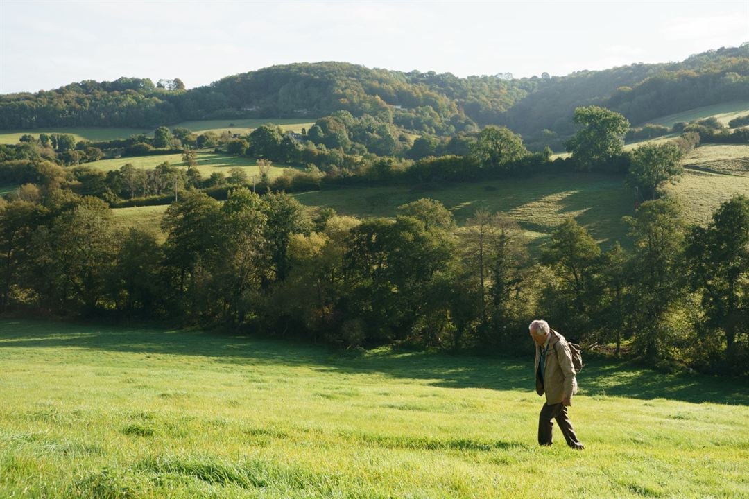 L'Improbable voyage d'Harold Fry : Photo