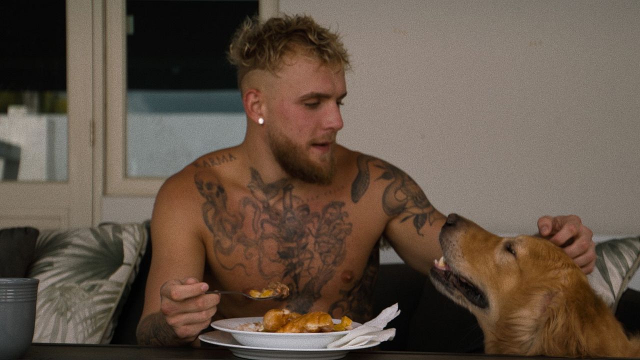 L'Envers du sport : Jake Paul, l'enfant terrible de la boxe : Photo