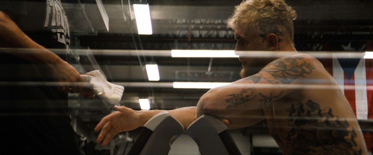 L'Envers du sport : Jake Paul, l'enfant terrible de la boxe : Photo