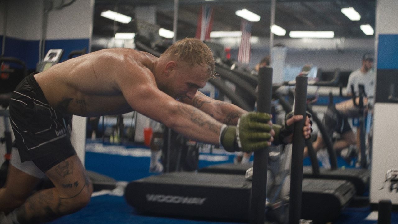 L'Envers du sport : Jake Paul, l'enfant terrible de la boxe : Photo