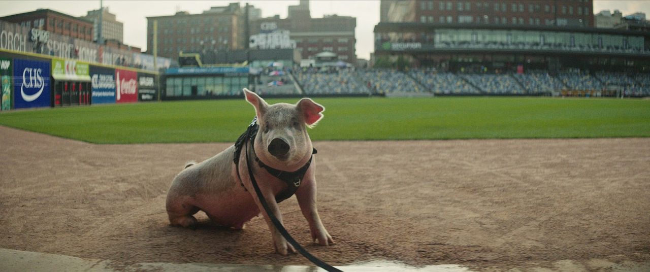 Secondes chances : Le baseball, c'est sacré ! : Photo