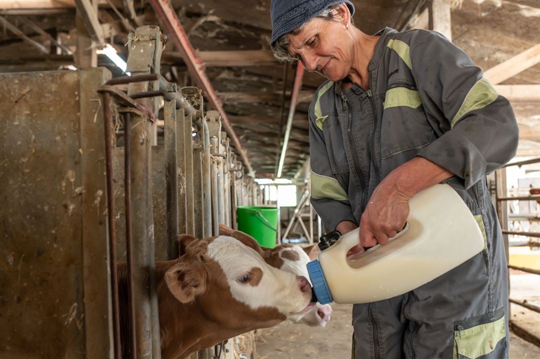 La Ferme des Bertrand : Photo