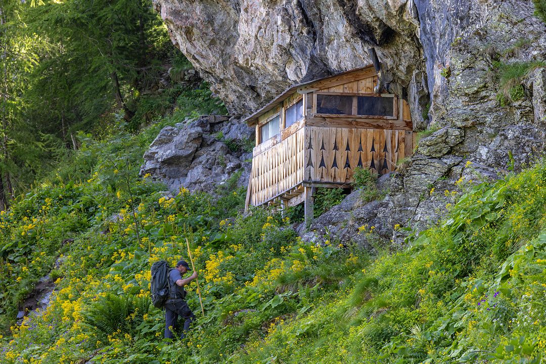 Vivre avec les loups : Photo