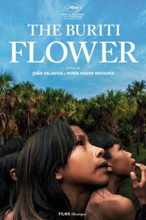 La Fleur de Buriti : Affiche