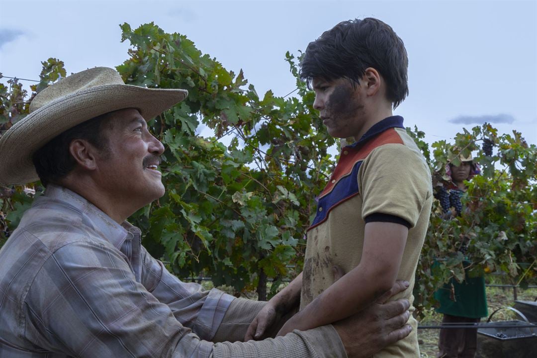 Plus tard, j'atteindrai les étoiles : Photo Juan Pablo Monterrubio, Julio Cesar Cedillo