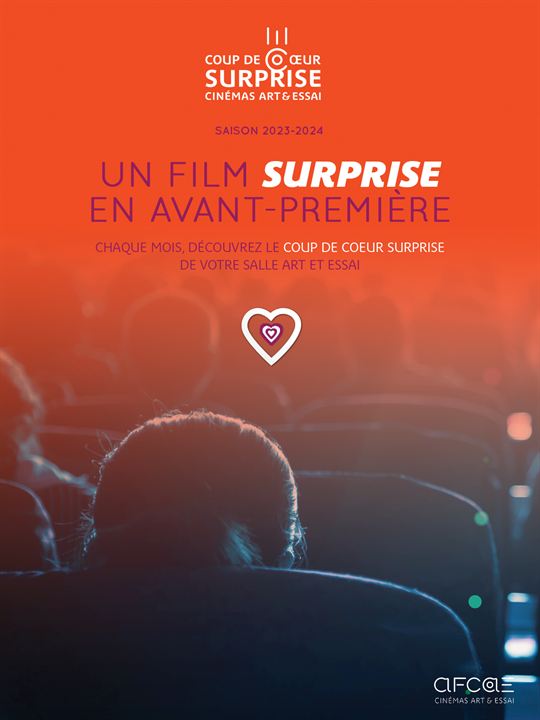 Coup de coeur surprise 3 AFCAE Mai 2024 : Affiche